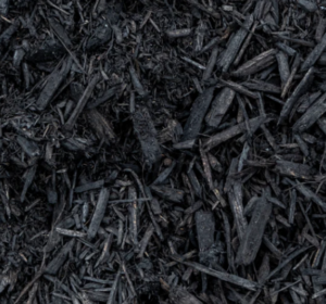 Black Hardwood